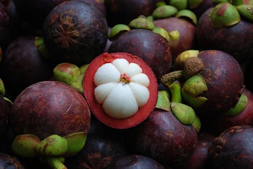 mangosteenfruit pericarp